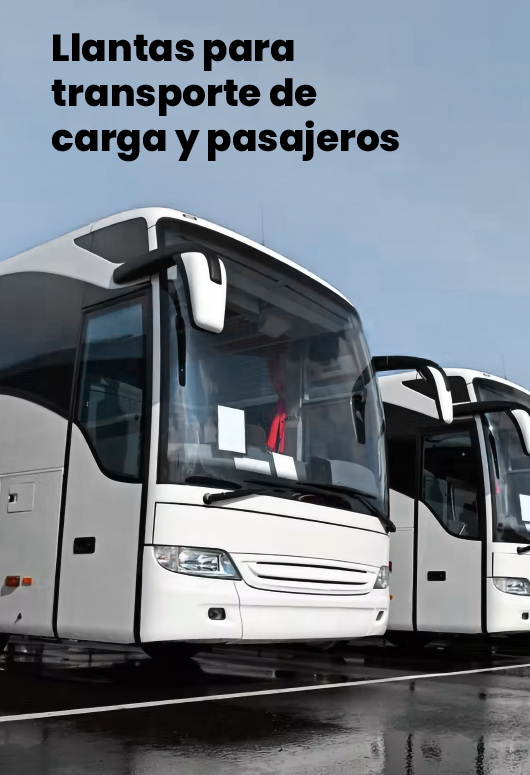 Llantas para transporte de carga y pasajeros