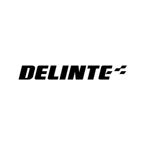 Logo de Delinte
